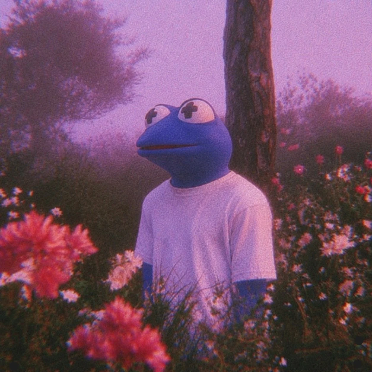Carlos among pink flowers at sunset